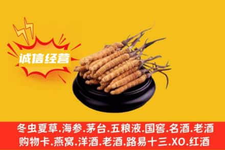 金寨县回收冬虫夏草
